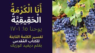 أَنَا الْكَرْمَةُ الْحَقِيقِيَّةُ تفسير إنجيل يوحنا ١٥: ١-١٧ Івана 15:5 Новий Переклад Українською