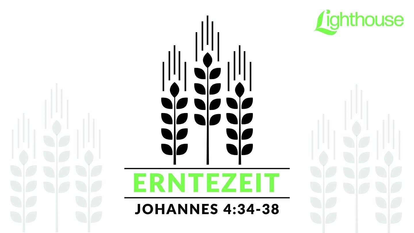 ERNTEZEIT Epheserbrief 1:19-23 Die Bibel (Schlachter 2000)