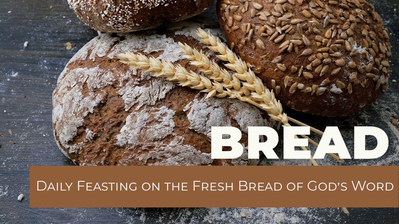 BREAD - Daily Feasting on the Fresh Bread of God's Word