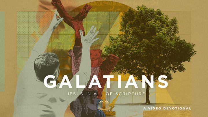 Galatians: A New Spiritual Family | Video Devotional