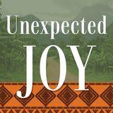 Unexpected Joy: Finding True Purpose in Surrender