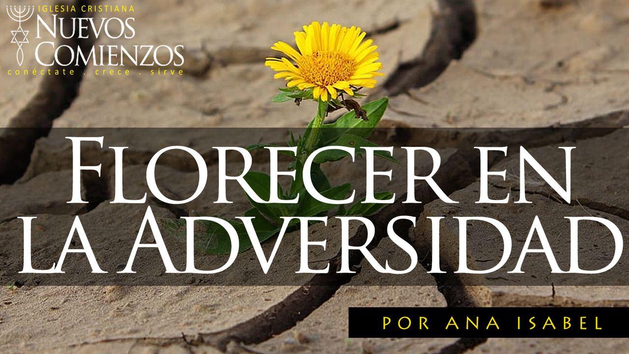 Florecer en La Adversidad