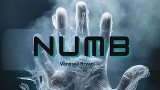 Numb Ibtido 21:12 Muqaddas Kitob