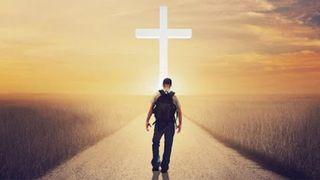 Isso É Sobre Seguir a Jesus लूका 24:49 Sanskrit New Testament (BSI)