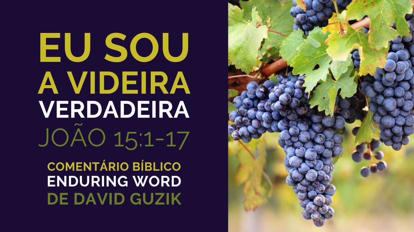 Eu Sou a Videira Verdadeira: Comentário Bíblico em João 15:1-17 Mateo 13:23 Tagbanwa, Calamian