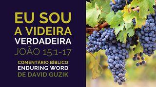 Eu Sou a Videira Verdadeira: Comentário Bíblico em João 15:1-17 от Матфея 21:43 Современный русский перевод (2-е изд.)