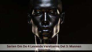 Serien Om De 4 Levande Varelserna Del 3: Mannen ሉቃሴ ፃኣፔ ኮዦ ሃይሶ 24:49 ጌኤዦ ማፃኣፖ