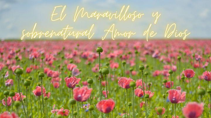 El Maravilloso Y Sobrenatural Amor De Dios