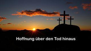 Hoffnung über den Tod hinaus Philipper 3:21 Darby Unrevidierte Elberfelder