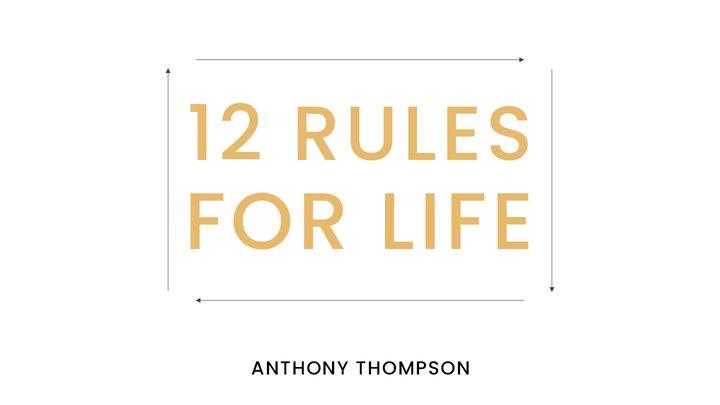 12 Rules for Life (Days 1-4)