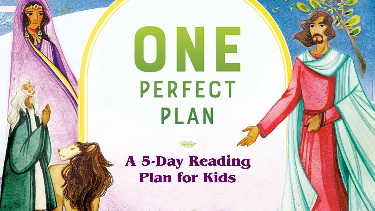 One Perfect Plan: The Bible's Big Story in Tiny Poems