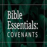 The Covenants of the Bible