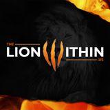 TheLionWithin.Us: How to Reflect on Trials