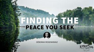Finding the Peace You Seek Mark 4:19-20 Amplified Bible