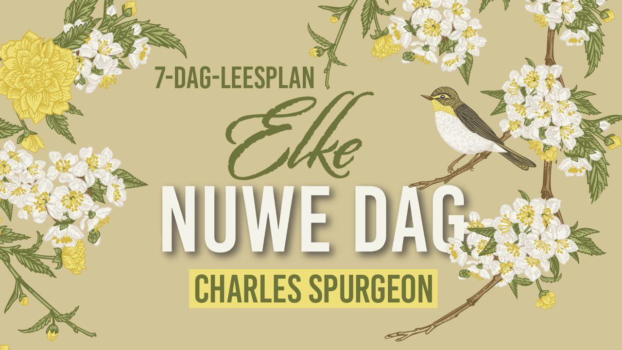 Elke nuwe dag