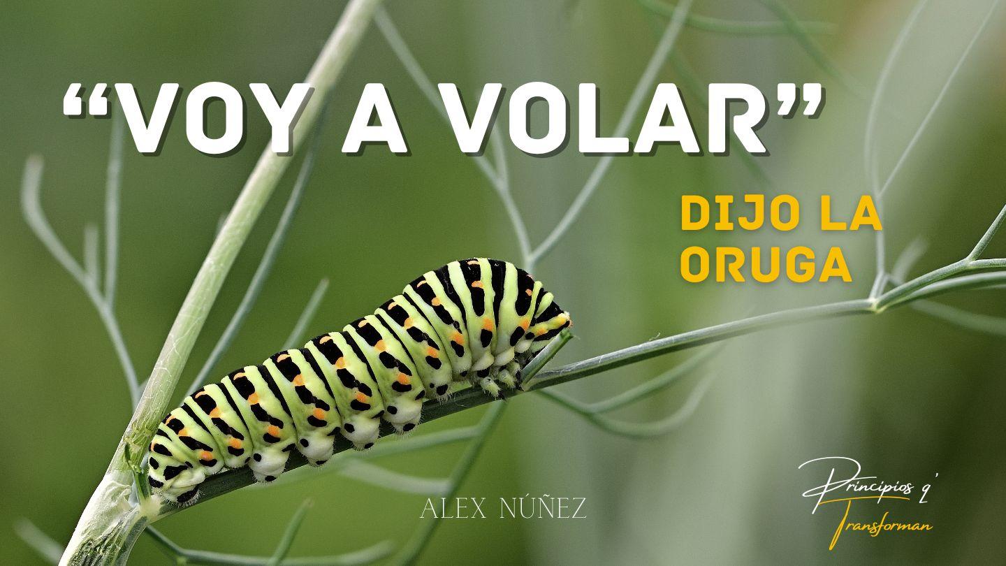 "Voy a Volar", dijo la Oruga Proverbios 3:10 La Biblia de las Américas