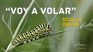 "Voy a Volar", dijo la Oruga Eclesiastés 11:6 Biblia Reina Valera 1960