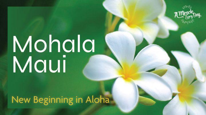 Mohala Maui  (Petals Unfold on Maui)