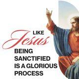 Like Jesus: Being Sanctified Is a Glorious Process