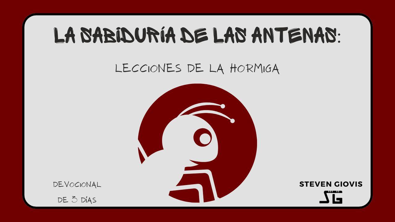 La Sabiduría De Las Antenas: Lecciones De La Hormiga