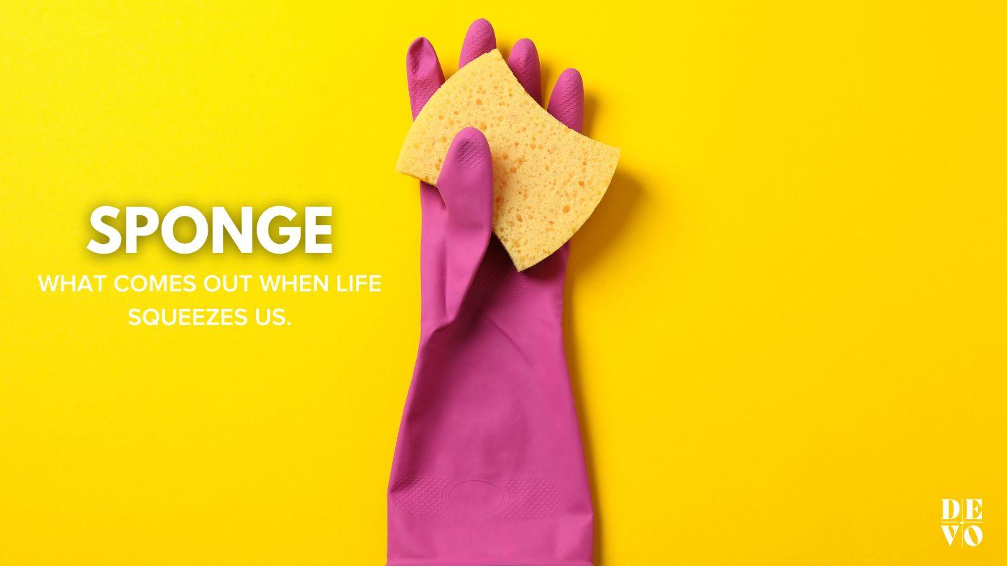 Sponge Isaiah 43:2 New Revised Standard Version