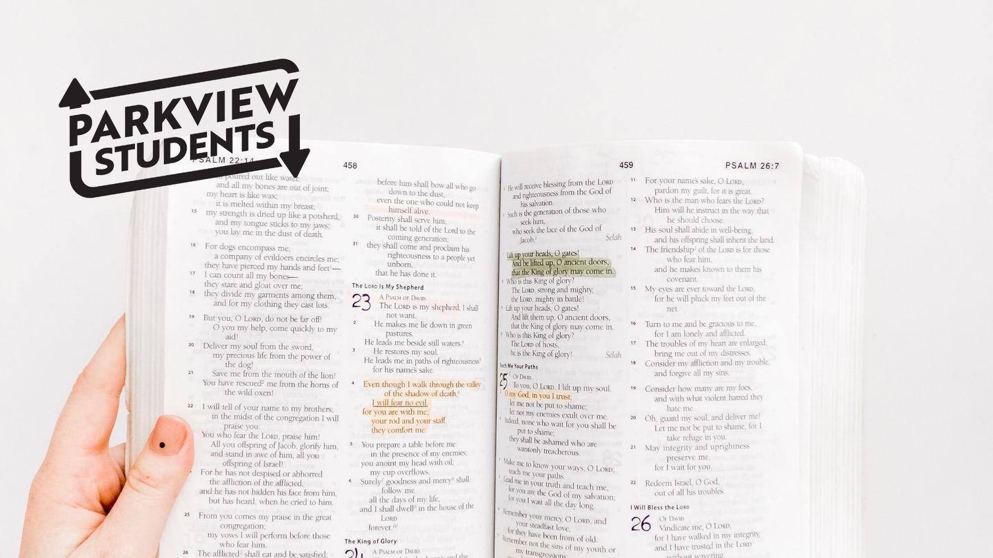 Bible Reading 101