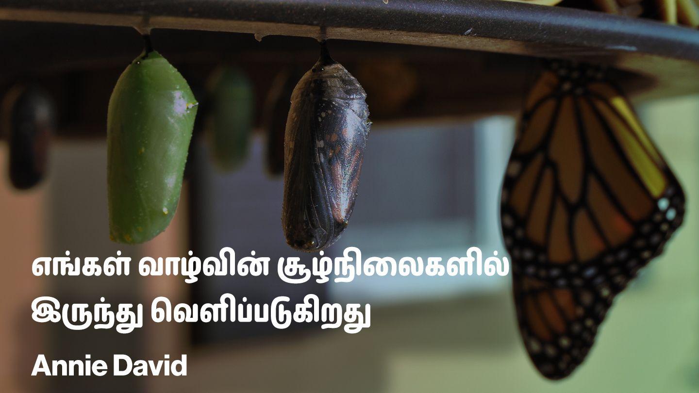 புத்தாண்டு மற்றும் ஆரம்பம் - எங்கள் வாழ்வின் சூழ்நிலைகளில் இருந்து வெளிப்படுகிறது நீதிமொழிகள் 16:3-33 பரிசுத்த பைபிள்