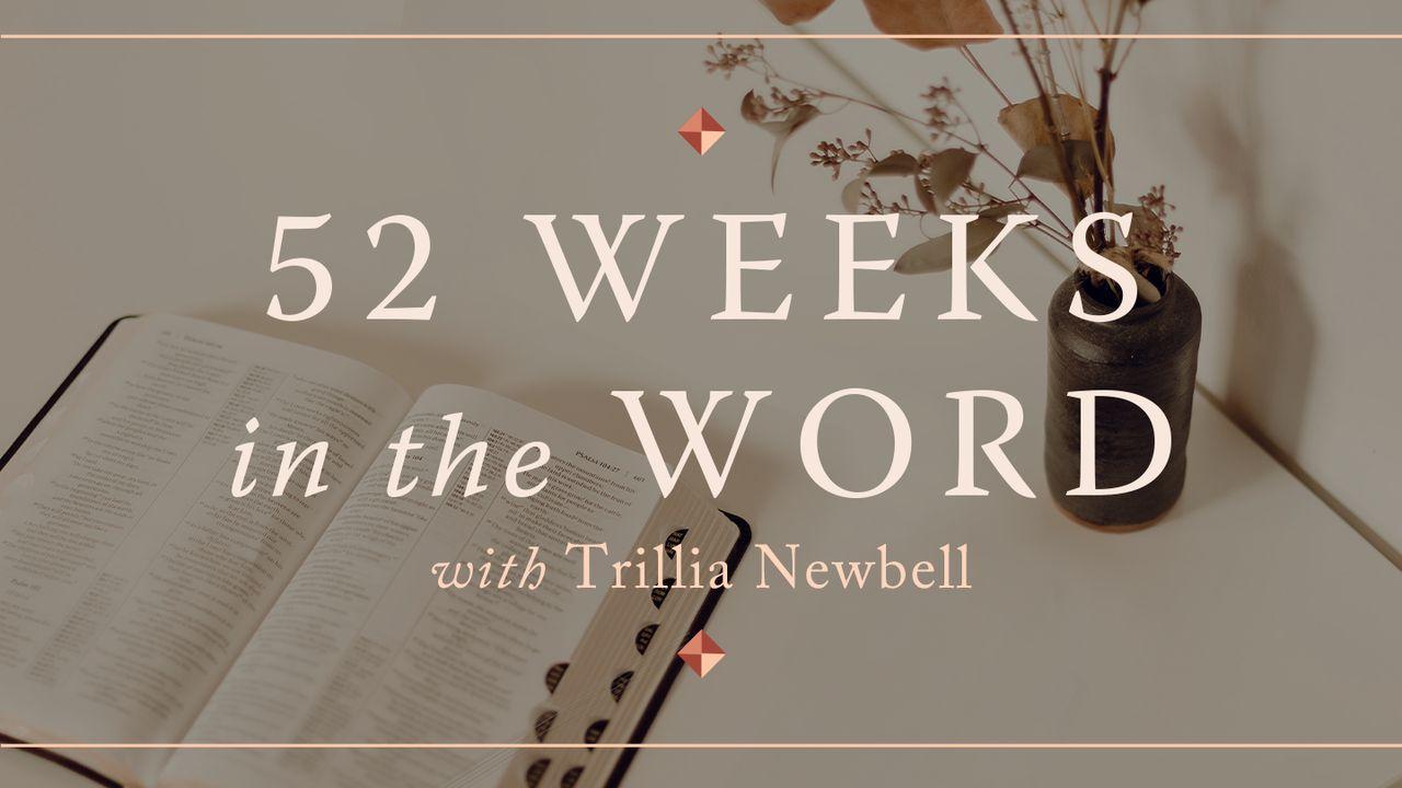 52 Weeks in the Word