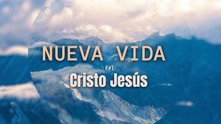 Nueva Vida  MATEO 6:6 Reina Valera 2020