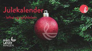 Julekalender - løftet og opfyldelsen