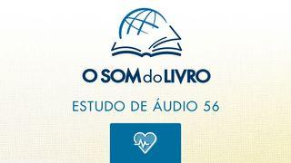 1 João 1 JOÃO 3:8-11 a BÍBLIA para todos Edição Católica