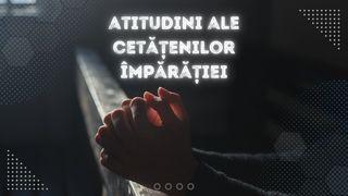 Atitudini ale Cetățenilor Împărăției Иоан 13:4-5 Библия Думитру Корнилеску 1924