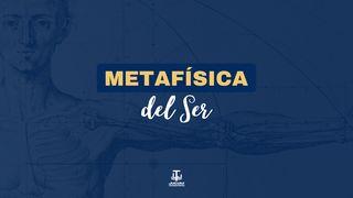 Metafísica Del Ser От Иоанна святое благовествование 6:63 Синодальный перевод