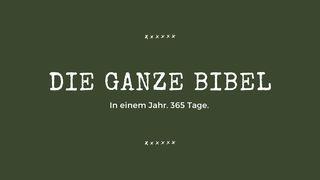 Gott kennen lernen - 365 Tage