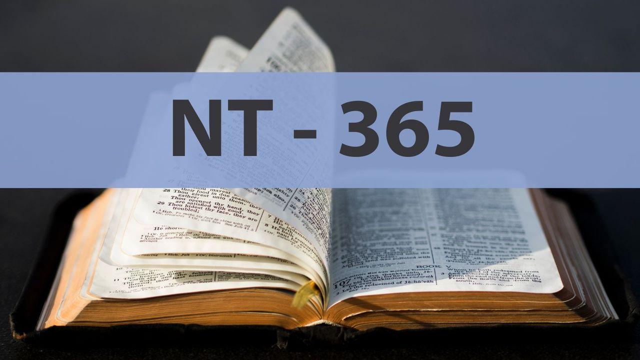 Das Neue Testament entdecken - 365 Tage