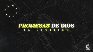 Promesas de Dios en Levítico