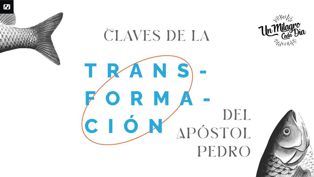 De Humano a Divino: Claves De La Transformación Del Apóstol Pedro