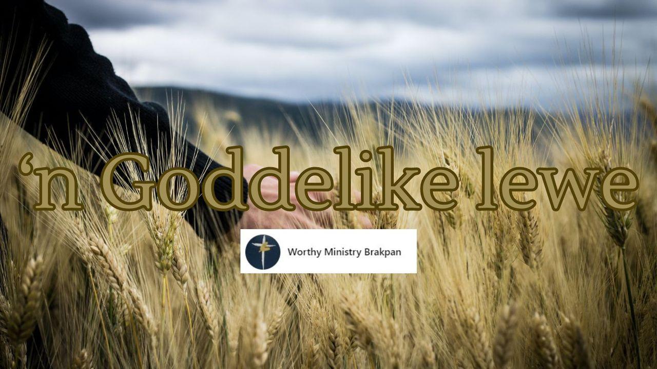 'n Goddelike Lewe