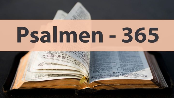 Die Psalmen entdecken - 365 Tage