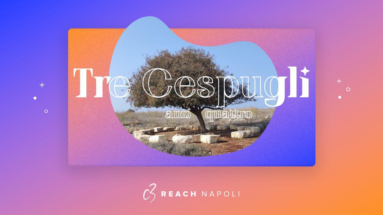 Tre Cespugli, anzi quattro