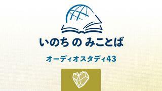 エゼキエル書 エゼキエル書 30:3 Seisho Shinkyoudoyaku 聖書 新共同訳