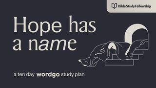 Hope Has a Name: With Bible Study Fellowship 使徒行傳 7:2-8 新標點和合本, 神版