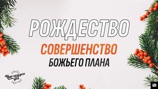Рождество: совершенство Божьего плана От Иоанна 3:16 Новый русский перевод