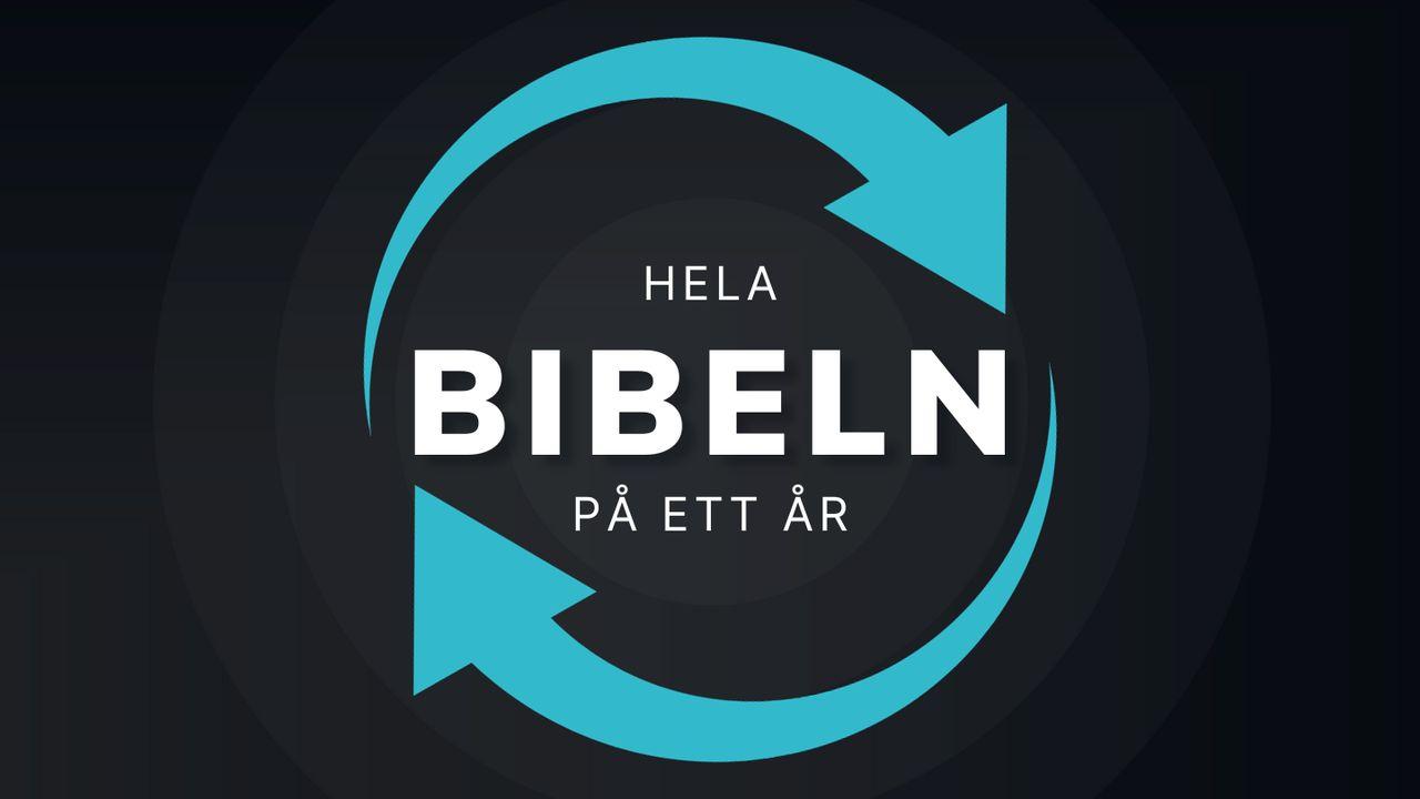 Bibeln på ett år