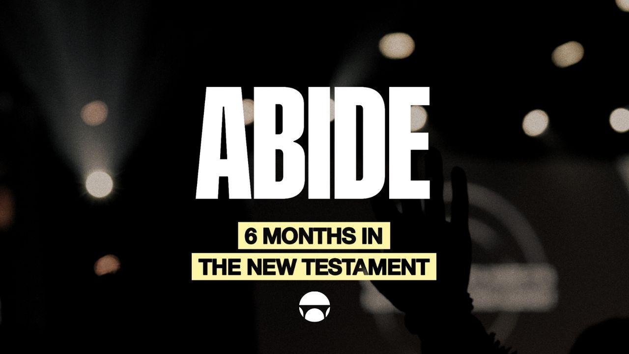 Abide | 6 Months in the New Testament - Daily Readings From the Bible