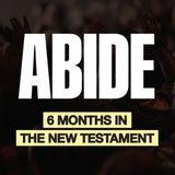 Abide | 6 Months in the New Testament - Daily Readings From the Bible 
