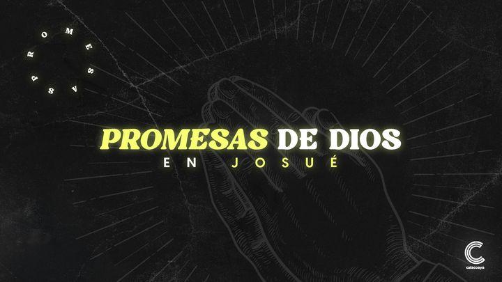 Promesas en Josué