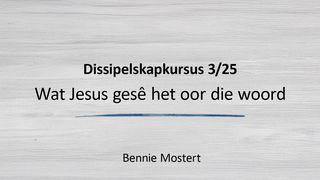 Wat Jesus gesê het oor die Woord От Иоанна святое благовествование 1:3-4 Синодальный перевод
