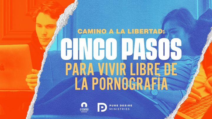 Camino a la libertad: cinco pasos para vivir libre de la pornografía