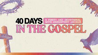 40 DAYS in the GOSPEL 